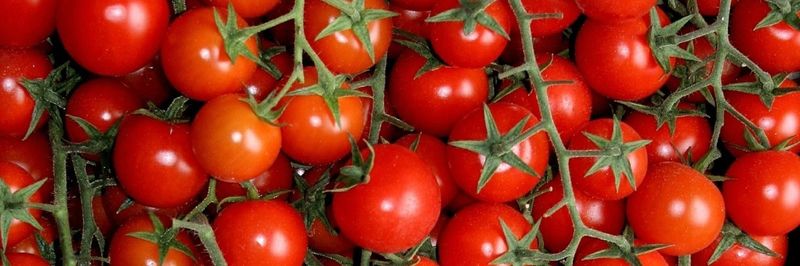 Pro agri - supplier and manufacturer from Italy