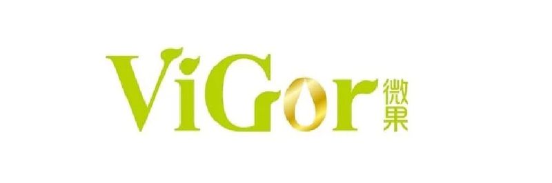ViGor Corporation - supplier and manufacturer from 대만