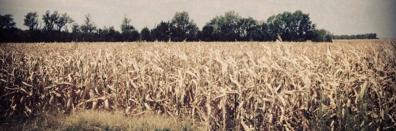Alliance Ag & Grain, LLC - supplier and manufacturer from 미국