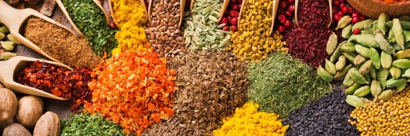 Organic Herbs For Import & Export - supplier and manufacturer from 이집트