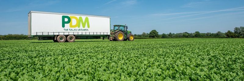 PDM Produce (UK) Ltd - supplier and manufacturer from 영국