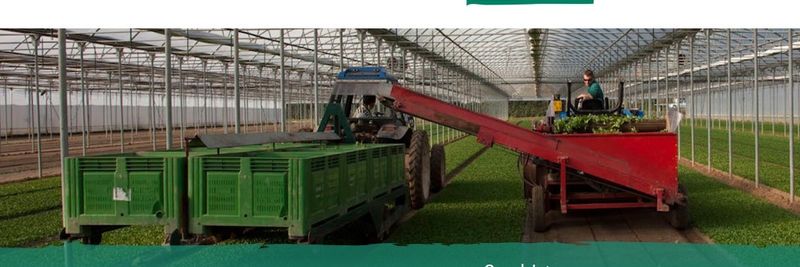 Euroverde Societa' Agricola S.r.l. - supplier and manufacturer from Italy