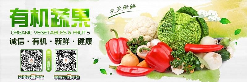 Dong Zhou Fengyuan Beijing Organic Agriculture Co., Ltd. - supplier and manufacturer from China