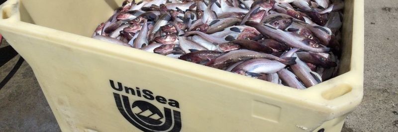 UniSea, Inc. - supplier and manufacturer from 미국
