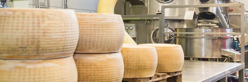 Fallini Formaggi Srl - supplier and manufacturer from 이탈리아