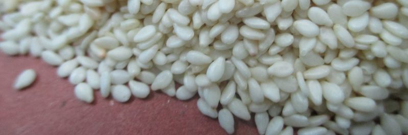 Yuvaraju Agro Impex - supplier and manufacturer from 인도