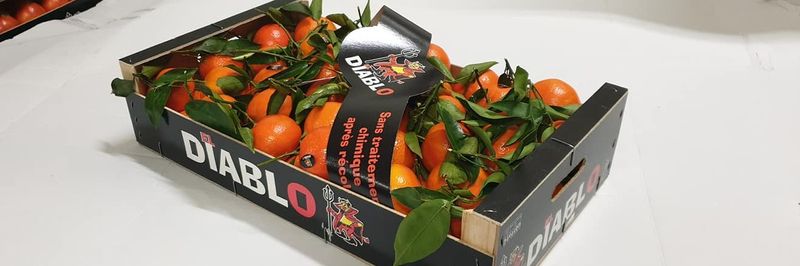 MARROIG PRIMEURS / EL DIABLO - supplier and manufacturer from France