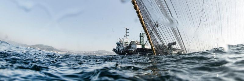 Ocean Direct LLC - supplier and manufacturer from 미국
