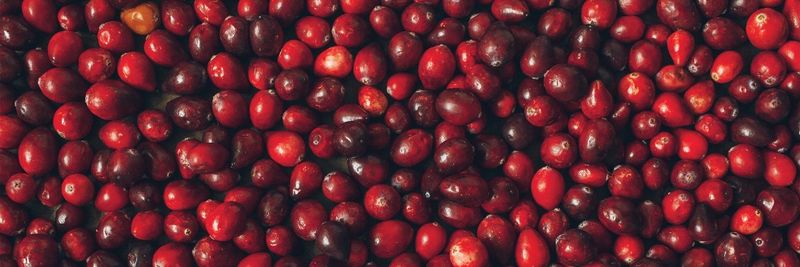 Ocean Spray Cranberries, Inc. - supplier and manufacturer from 미국