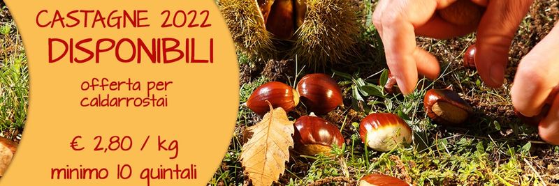 Sapore di Castagne - supplier and manufacturer from Italy