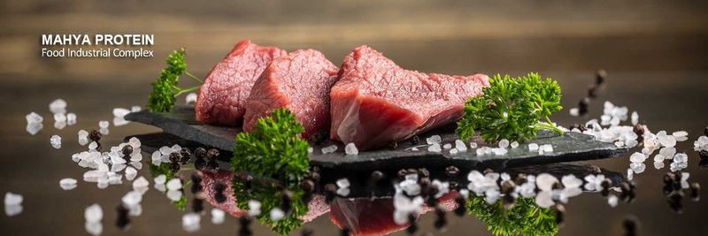 Mahya Protein - supplier and manufacturer from Iran