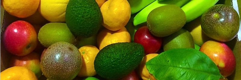 Fresco Produce - supplier and manufacturer from 호주