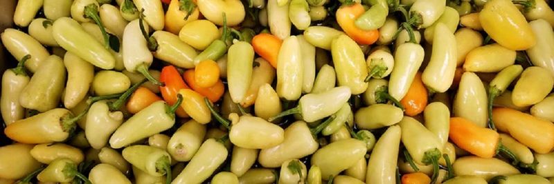 Sweet Heat Co. LLC - supplier and manufacturer from 미국