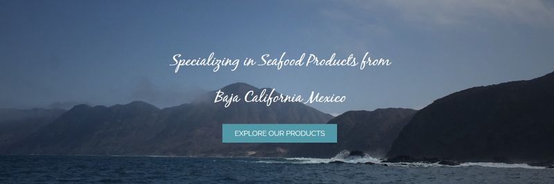 Ocean Floor Inc. - supplier and manufacturer from 미국