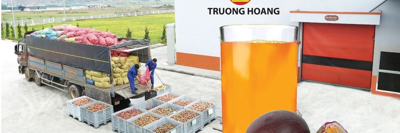 Truong Hoang Lam Dong Trading and Service Co., Ltd - supplier and manufacturer from Vietnam