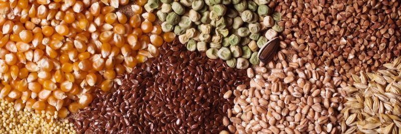 JGL Commodities US Ltd. - supplier and manufacturer from 미국