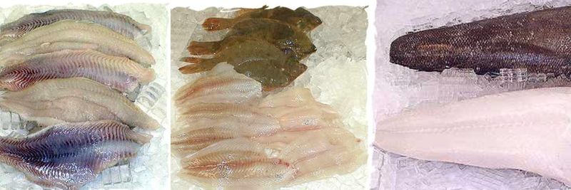 Always Fresh Fish.com / Ron Smith Seafood Inc. - supplier and manufacturer from 미국