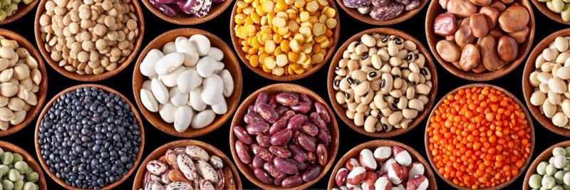 Nth Level Exporters LLP - supplier and manufacturer from 인도
