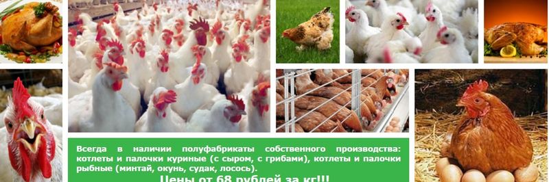 LLC Poultry Farm Danayskiy - supplier and manufacturer from Russia