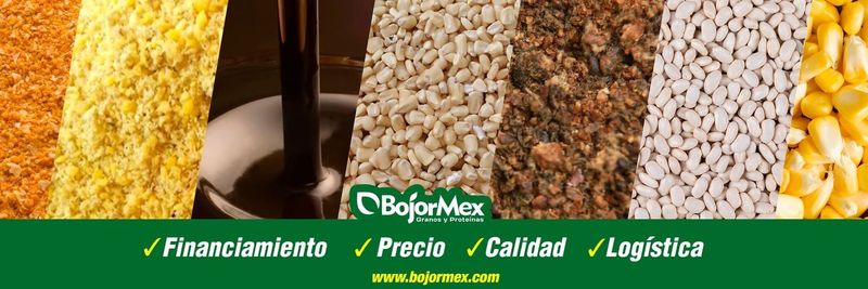 Bojormex - supplier and manufacturer from 멕시코