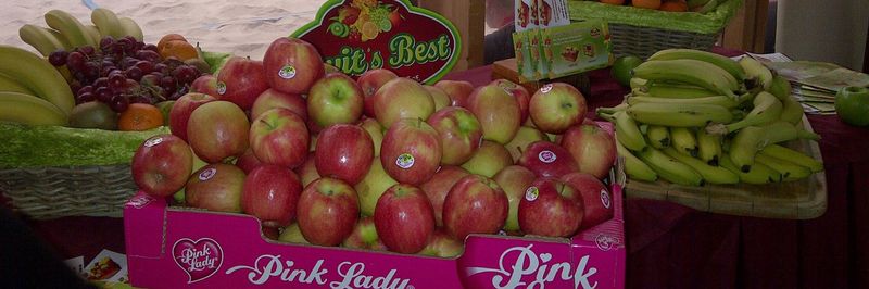 Fruit's Best - supplier and manufacturer from 독일