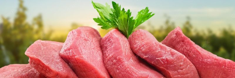 ORGANIC MEAT EXPORT ABATTOIR PLC - supplier and manufacturer from 에티오피아