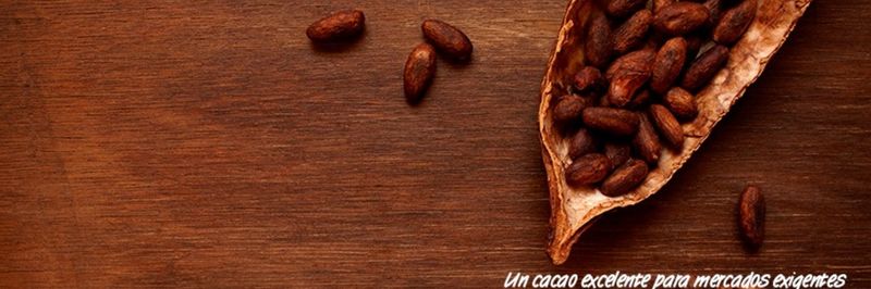 CONACADO AGROINDUSTRIAL - supplier and manufacturer from Dominican Republic