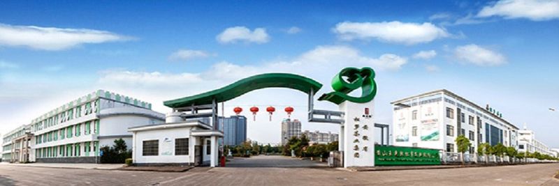 Huangshan Wangguangxi Songluo Tea Industry Co., Ltd. - supplier and manufacturer from 중국