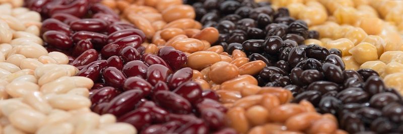 Faribault Foods, Inc. - supplier and manufacturer from United States