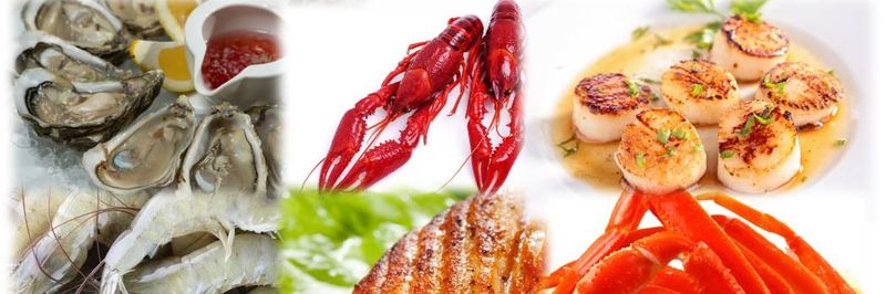 Vincent Piazza, Jr. & Sons Seafood, Inc. - supplier and manufacturer from United States