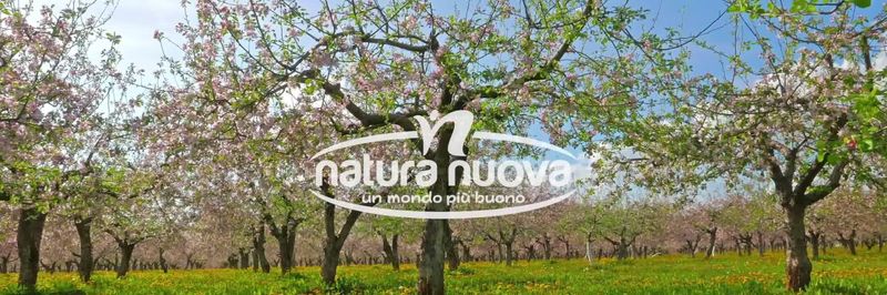 Natura Nuova S.p.A. - supplier and manufacturer from Italy
