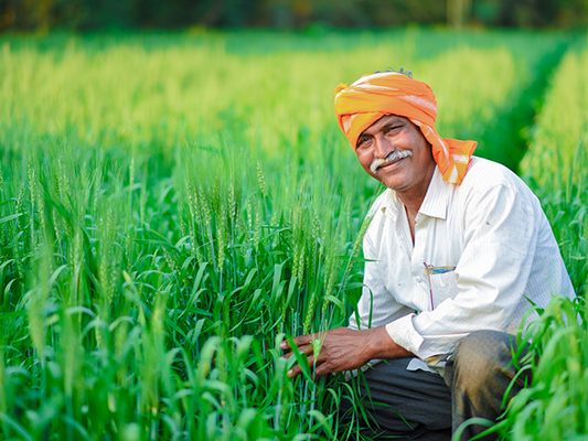 ORGANIC PRODUCTS INDIA - Veeral Agro Tech - supplier and manufacturer from India