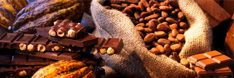 BLOMMER CHOCOLATE CO - supplier and manufacturer from 미국
