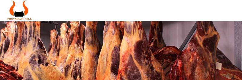 Prosavic S.R.L. - supplier and manufacturer from Argentina