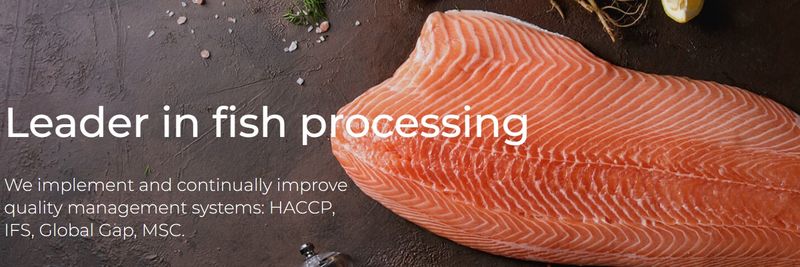 DASSON PRODUCTIONS Sp. z o. o. - supplier and manufacturer from 폴란드