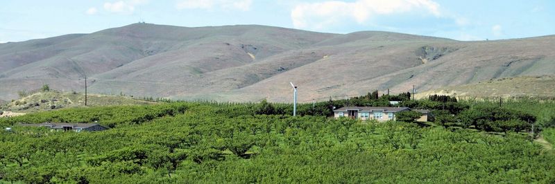 Sunnyslope Ranch - supplier and manufacturer from 미국