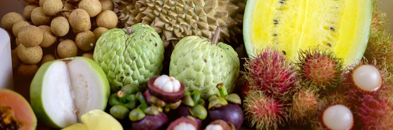 Namdhari Thai Fresh Co., Ltd. - supplier and manufacturer from Thailand