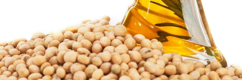 S.S. Oil Mills Limited - supplier and manufacturer from 파키스탄