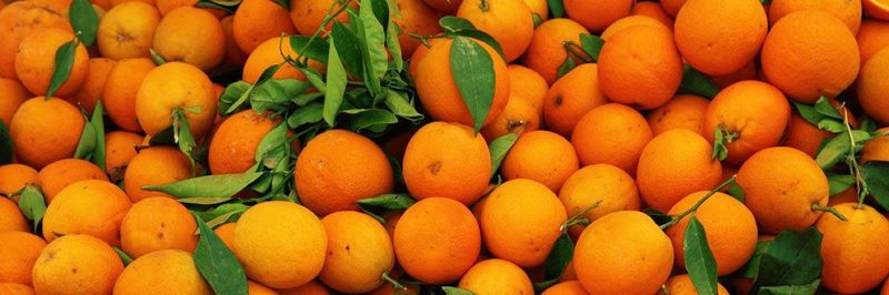 Freshco, Ltd. - supplier and manufacturer from United States