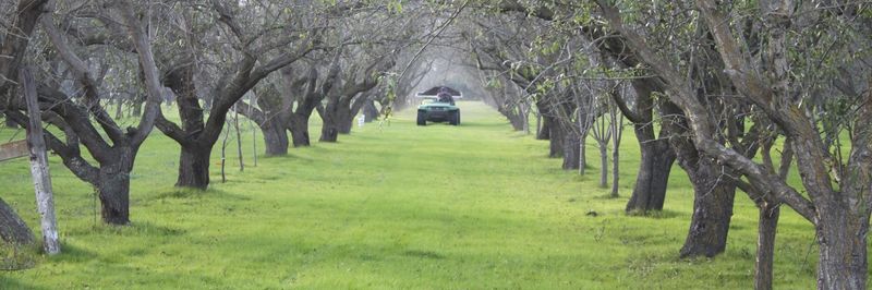 Inzana Ranch and Produce farms - supplier and manufacturer from 미국