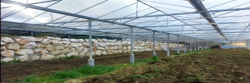 SCEA LE MARAICHER DE L' ECO DOMAINE DE VAILHAUQUES - supplier and manufacturer from 프랑스