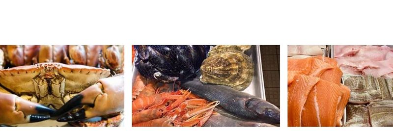 Sunderland Live Lobster, Prawns & Fish Ltd. - supplier and manufacturer from 영국