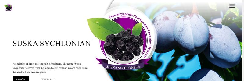 STOWARZYSZENIE PRODUCENTÓW OWOCÓW I WARZYW W UJANOWICACH - supplier and manufacturer from 폴란드