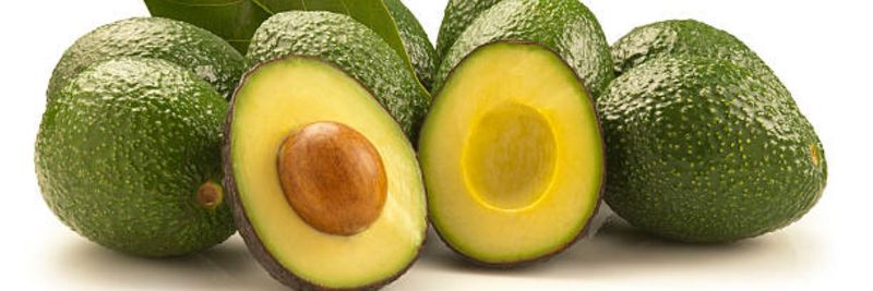 Rwathia Agrofarm - Verified supplier and manufacturer from Kenya