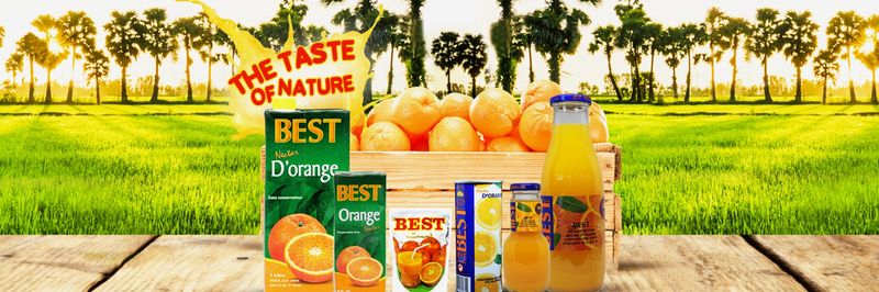 Egyptian Canning Company - "Best" - supplier and manufacturer from 이집트