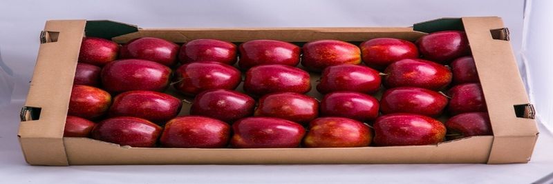 Agro-Alex sp. z o.o. - supplier and manufacturer from 폴란드
