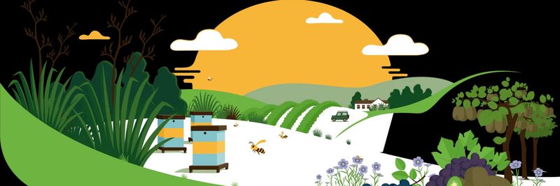 NZ Pure Health - supplier and manufacturer from 뉴질랜드