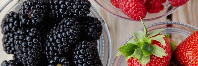 Berry Gardens - supplier and manufacturer from 영국