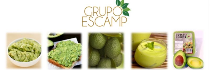 Grupo Escamp - supplier and manufacturer from Mexico