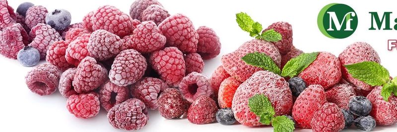 Master food - Verified supplier and manufacturer from Serbia